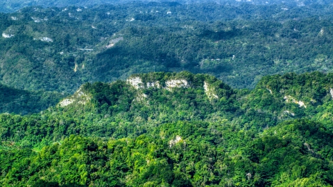 AX101_069.0000000F - Aerial stock photo of Limestone cliffs with lush green jungle growth in the Karst Forest, Puerto Rico 