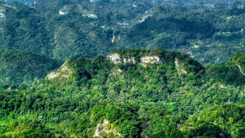 AX101_069.0000189F - Aerial stock photo of Limestone cliffs visible through jungle growth in the Karst Forest, Puerto Rico 