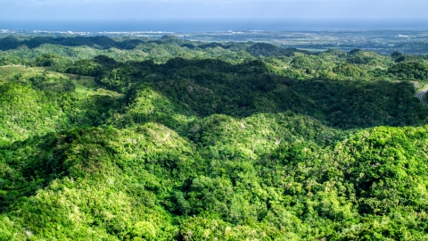 AX101_075.0000197F - Aerial stock photo of Lush green trees of the jungle, Karst Forest, Puerto Rico 