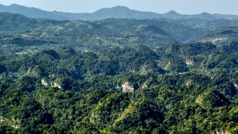 AX101_089.0000000F - Aerial stock photo of Lush green jungle and limestone cliffs of the Karst Forest, Puerto Rico