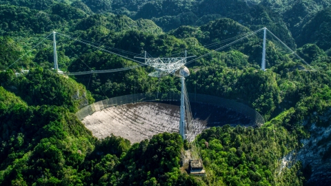 AX101_097.0000000F - Aerial stock photo of A view of the Arecibo Observatory surrounded by trees, Puerto Rico 