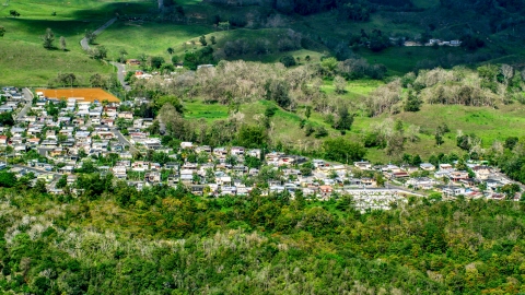 AX101_126.0000000F - Aerial stock photo of Small rural neighborhood nestled among trees Arecibo, Puerto Rico