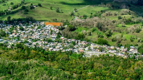 AX101_127.0000000F - Aerial stock photo of Small rural neighborhood surrounded by trees, Arecibo, Puerto Rico 