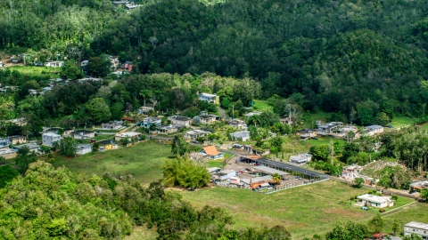 AX101_130.0000000F - Aerial stock photo of A group of rural homes surrounded by trees, Arecibo, Puerto Rico 