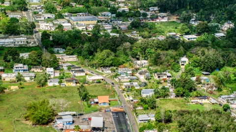 AX101_131.0000000F - Aerial stock photo of Rural neighborhood with trees, Arecibo, Puerto Rico
