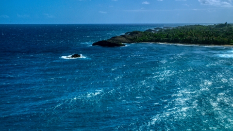 AX101_159.0000111F - Aerial stock photo of Clear blue water beside a tree-lined coast, Arecibo, Puerto Rico 
