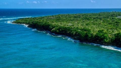 AX101_195.0000097F - Aerial stock photo of Stunning blue waters along a tree lined coast, Manati, Puerto Rico