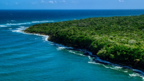 AX101_195.0000190F - Aerial stock photo of A tree-lined Caribbean coast, Manati, Puerto Rico