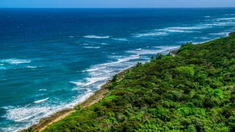 AX101_196.0000289F - Aerial stock photo of Waves rolling toward a tree lined coast, Manati, Puerto Rico