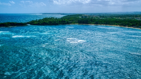 AX101_209.0000000F - Aerial stock photo of A tree-lined Caribbean island beach on the coast in Vega Alta, Puerto Rico 