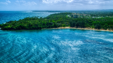 AX101_209.0000258F - Aerial stock photo of Palm trees and beach on a Caribbean island coast in Vega Alta, Puerto Rico 