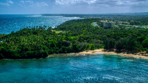 AX101_210.0000000F - Aerial stock photo of Palm tree covered Caribbean island beach in Vega Alta, Puerto Rico 