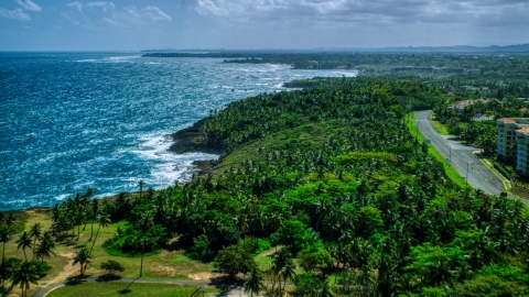 AX101_210.0000258F - Aerial stock photo of Palm trees and a road along the Caribbean island coast in Vega Alta, Puerto Rico 