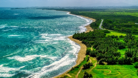 AX101_220.0000234F - Aerial stock photo of An island beach and palm trees in the Caribbean, Dorado, Puerto Rico 
