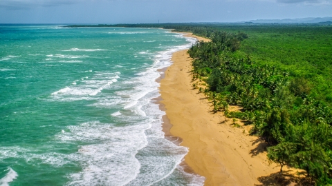 AX102_021.0000000F - Aerial stock photo of Waves rolling toward a tree lined Caribbean island beach, Loiza, Puerto Rico 