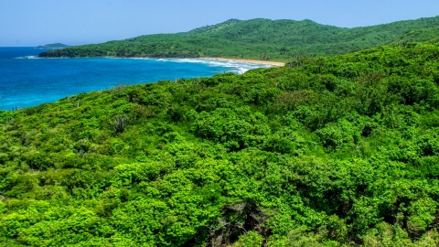 AX102_121.0000158F - Aerial stock photo of Coastal vegetation and sapphire blue waters, Culebra, Puerto Rico 
