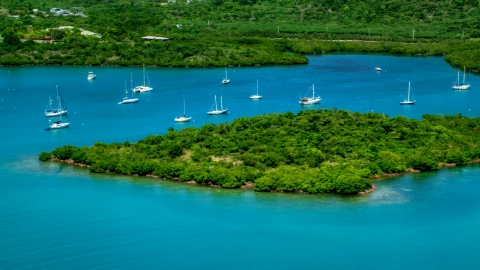 AX102_141.0000223F - Aerial stock photo of Group of sail boats in sapphire blue waters by tree covered coasts, Culebra, Puerto Rico