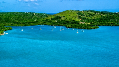 AX102_168.0000000F - Aerial stock photo of Sailboats anchored by a Caribbean island coast, Culebra, Puerto Rico