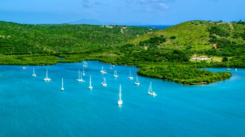 AX102_168.0000185F - Aerial stock photo of Group of sailboats in sapphire blue waters by an island coast, Culebra, Puerto Rico