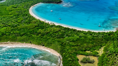 AX102_189.0000168F - Aerial stock photo of White sand Caribbean island beaches and trees, Culebrita, Puerto Rico