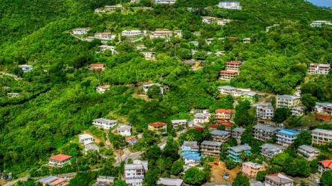AX102_212.0000000F - Aerial stock photo of Upscale hillside homes nestled among trees, Charlotte Amalie, St. Thomas 