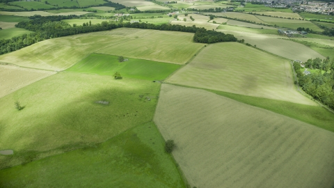 AX109_011.0000094F - Aerial stock photo of Green farm fields in Stirling, Scotland