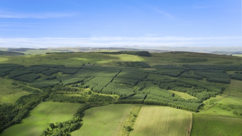 AX110_004.0000000F - Aerial stock photo of Forest near farmland, Banton, Scotland