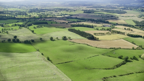 AX110_035.0000000F - Aerial stock photo of Scottish farms and fields near Kippen, Scotland