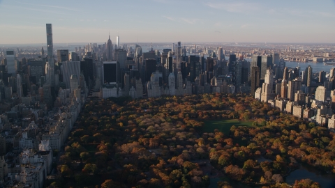 AX118_194.0000000F - Aerial stock photo of Central Park with autumn leaves and Midtown skyscrapers at sunrise in New York City