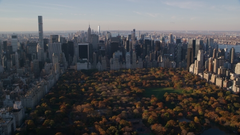 AX118_194.0000163F - Aerial stock photo of Central Park trees with autumn leaves beside Midtown skyscrapers at sunrise in New York City