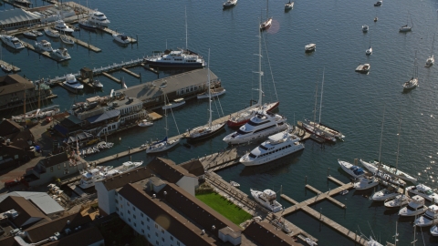 AX144_238.0000000 - Aerial stock photo of Yachts and sailboats docked at piers in Newport, Rhode Island