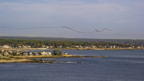 AX147_163.0000150 - Aerial stock photo of A flock of birds above a coastal town, autumn, Rye, New Hampshire