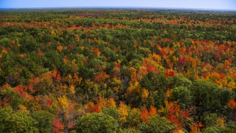 AX147_283.0000075 - Aerial stock photo of A colorful autumn forest in Biddeford, Maine