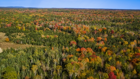 AX148_036.0000011 - Aerial stock photo of A colorful forest in autumn, Cushing, Maine