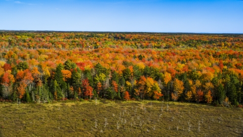 AX148_041.0000034 - Aerial stock photo of A colorful forest landscape in autumn, Cushing, Maine