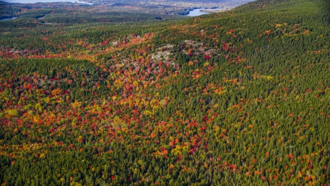 AX148_158.0000000 - Aerial stock photo of A colorful forest in autumn, Mount Desert Island, Tremont, Maine