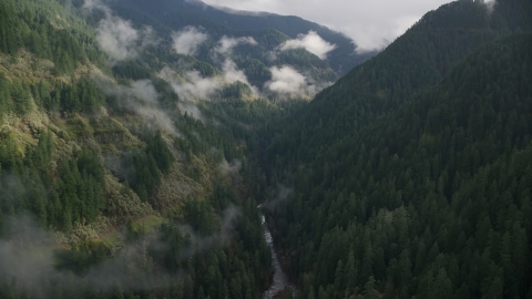 AX154_042.0000275F - Aerial stock photo of Eagle Creek Trail canyon, Cascade Range, Hood River County, Oregon