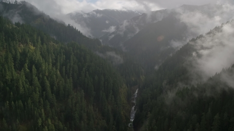 AX154_048.0000236F - Aerial stock photo of A misty canyon and Eagle Creek Trail, Cascade Range, Hood River County, Oregon