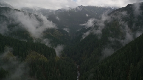 AX154_051.0000000F - Aerial stock photo of The Eagle Creek Trail through mountain canyon in Cascade Range, Hood River County, Oregon