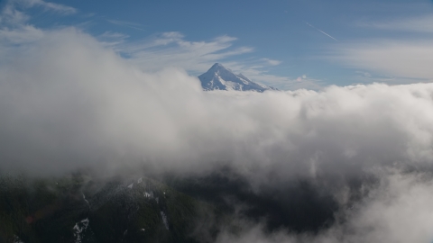 AX154_060.0000093F - Aerial stock photo of Snowy Mount Hood, visible above a layer of thick clouds, Cascade Range, Oregon