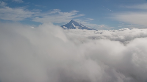 AX154_061.0000171F - Aerial stock photo of Summit of Mount Hood sticking up through the clouds, Cascade Range, Oregon