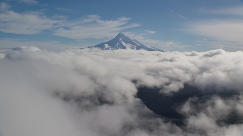 AX154_062.0000242F - Aerial stock photo of Cloud layer near snowy Mount Hood, Cascade Range, Oregon