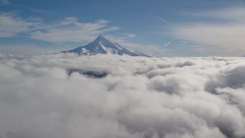 AX154_064.0000250F - Aerial stock photo of The snowy summit of Mount Hood above the clouds, Cascade Range, Oregon
