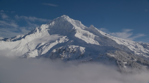 AX154_078.0000345F - Aerial stock photo of The top of snow-covered Mount Hood, Cascade Range, Oregon