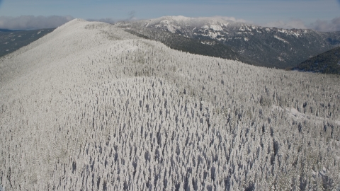 AX154_102.0000220F - Aerial stock photo of Forest on a snowy mountain ridge in the Cascade Range, Oregon