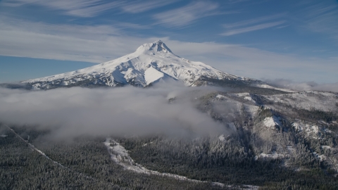 AX154_109.0000000F - Aerial stock photo of Low clouds over evergreen forest near the peak covered in snow, Mount Hood, Cascade Range, Oregon