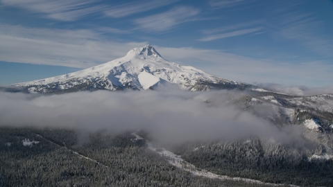 AX154_109.0000237F - Aerial stock photo of Low clouds over evergreen forest near the peak covered in snow, Mount Hood, Cascade Range, Oregon