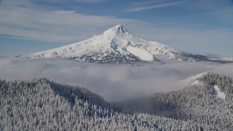 AX154_111.0000000F - Aerial stock photo of Low clouds and snowy forest at the base of Mount Hood, Cascade Range, Oregon