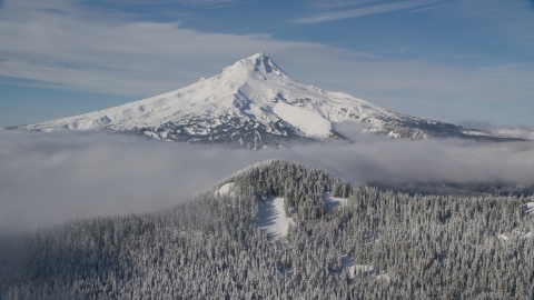 AX154_112.0000331F - Aerial stock photo of Mount Hood behind low clouds and a snow forest in the Cascade Range, Oregon