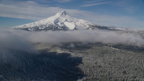 AX154_118.0000000F - Aerial stock photo of Snowy mountain peak with low clouds over forest, Mount Hood, Cascade Range, Oregon